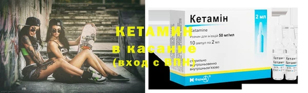 крисы Алзамай