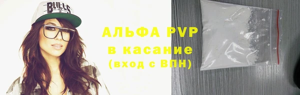 крисы Алзамай