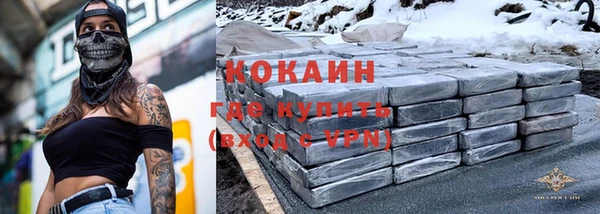 крисы Алзамай