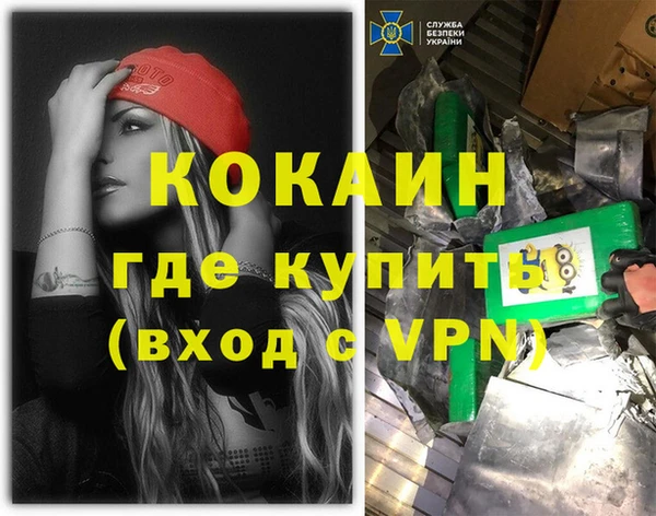 бошки Няндома