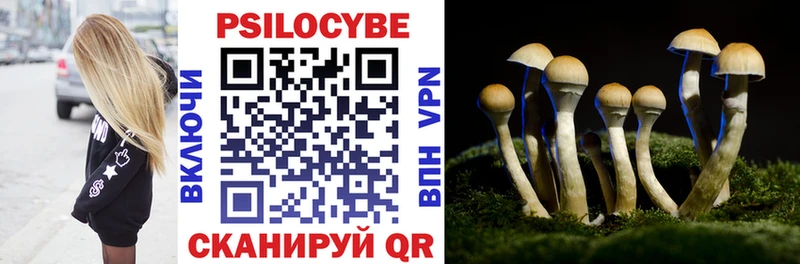 kraken как войти  Кореновск  Псилоцибиновые грибы мухоморы 